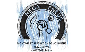MEGA PNEUS LEYME 46