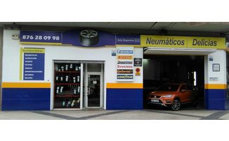 NEUMATICOS DELICIAS