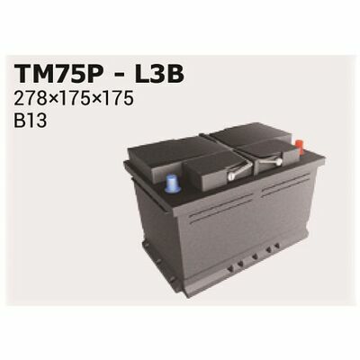 Ipsa TM75P