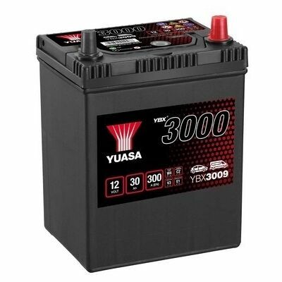 Yuasa YBX3000 SMF Batteries