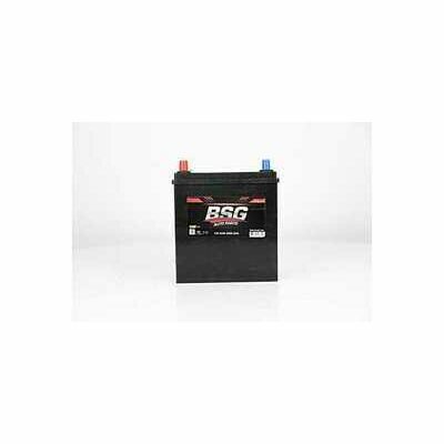 BSG 99-997-002 | Accu | Bandenleader.nl