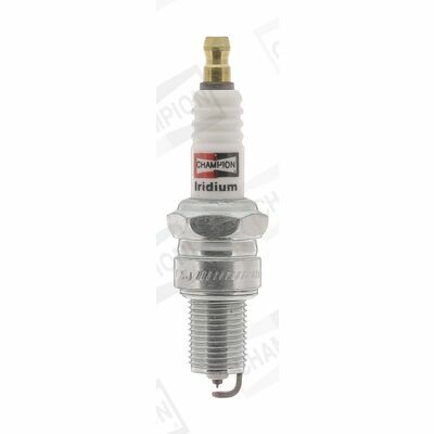 Champion Easyvision Multi-clip