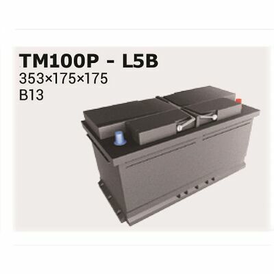 Ipsa TM100P