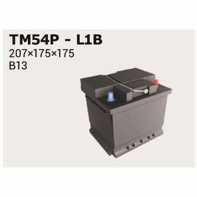 Ipsa TM54P