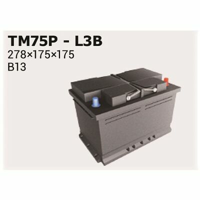 Ipsa MAGIC +30%