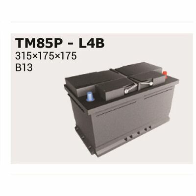 Ipsa MAGIC +30%