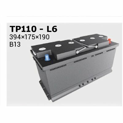 Ipsa TP110
