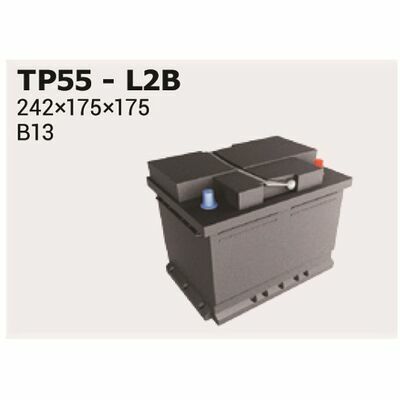 Ipsa TP55
