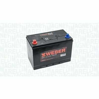 Magneti Marelli 067095760011