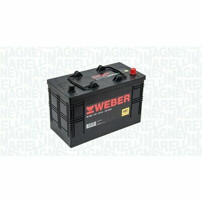 Magneti Marelli 067110850005