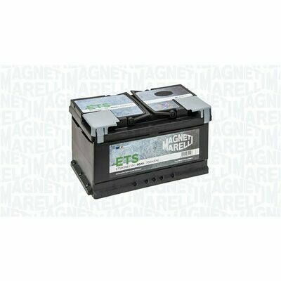 Magneti Marelli 069080700006