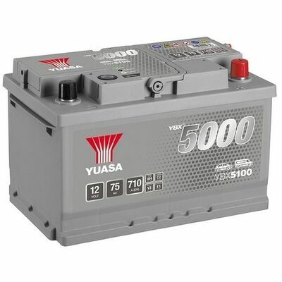 Yuasa YBX5000 Silver High Performance SMF Batteries