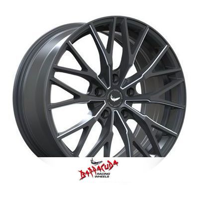 Barracuda Ultralight 3.0