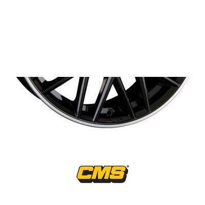 CMS C25