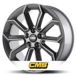 CMS C20