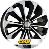CMS C21