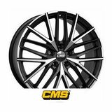 CMS C36