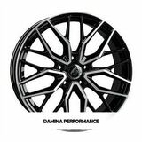 Damina Performance DM20
