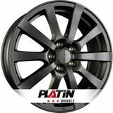 Platin P58