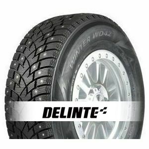 Delinte Winter WD42