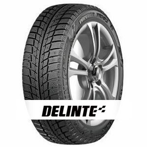 Delinte Winter WD52