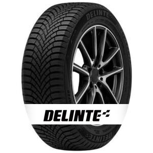 Delinte Winterforce