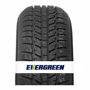 Evergreen EW62