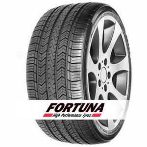 Fortuna Ecoplus HP Plus