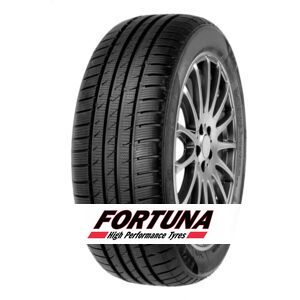 Fortuna Gowin UHP