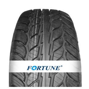 Fortune FSR306