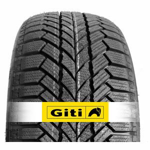 Giti Winter W1