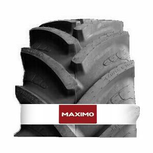 Maximo Radial65