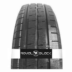 Royalblack Royal Winter VAN