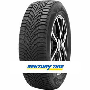 Sentury Winter dragon