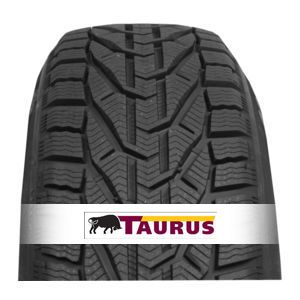 Taurus SUV Winter