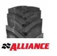Alliance 356 Agro-Forest