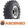 Ascenso XLR-880
