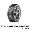 Blackarrow Dart P09