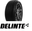 Delinte DS2