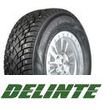 Delinte Winter WD42