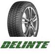 Delinte Winter WD52