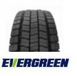 Evergreen EDR50