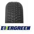 Evergreen EW62