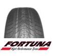 Fortuna Winter SUV 2