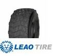 Leao AD702