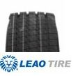 Leao F860 295/80 R22.5 154/149M 18PR, M+S