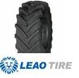 Leao LR7000