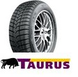 Taurus Winter 601