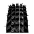 Maxxis Trialmaxx M-7319