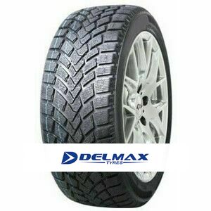 Tyre Delmax Snow Hunter